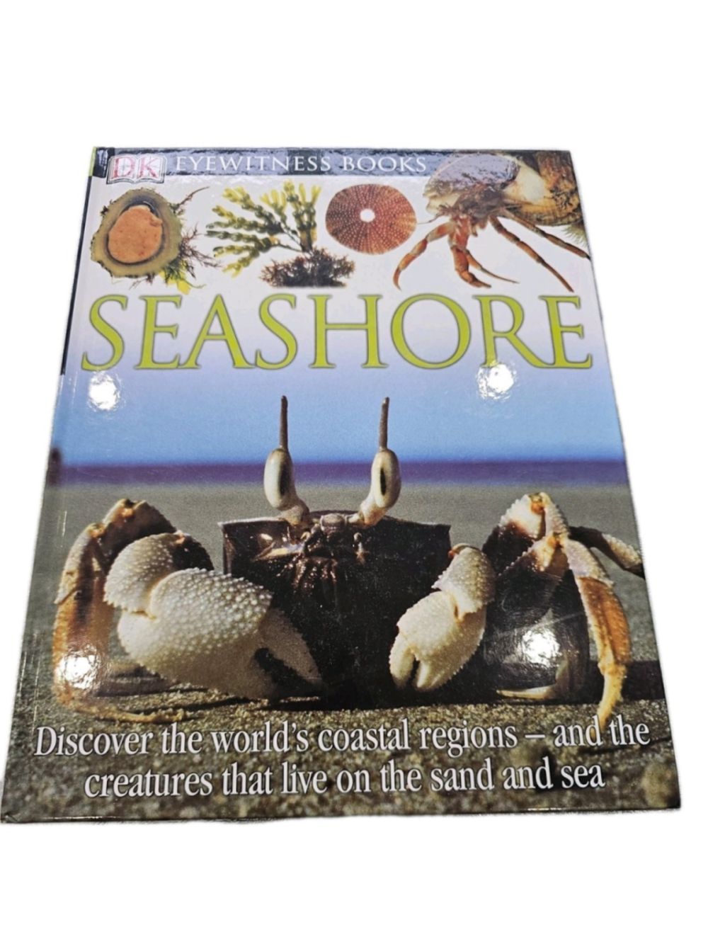 DK EW SEASHORE REVISED EDITION (DK Eyewitness Books), , Very Good Book